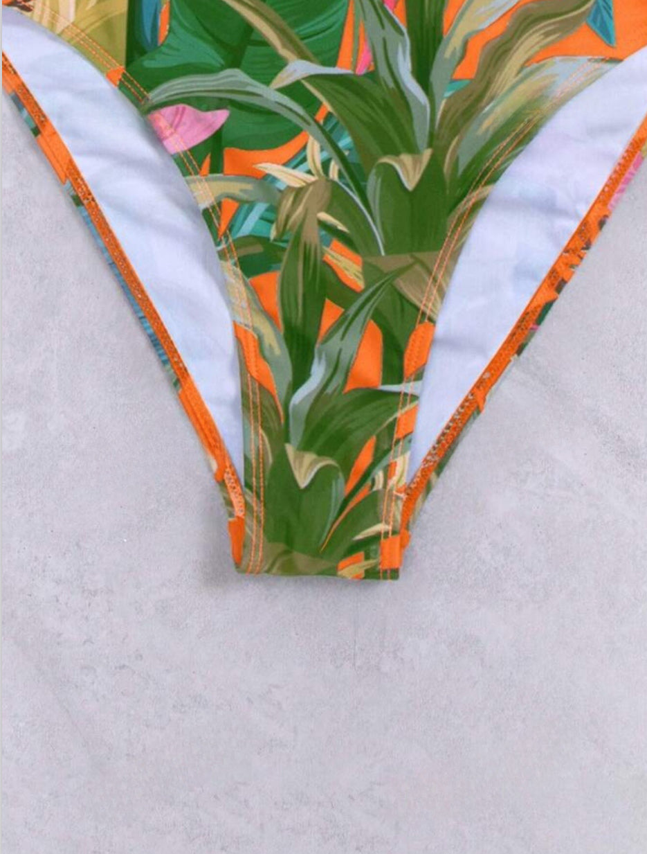 Une pièce tropical tulipe orange